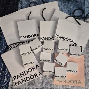 Pandora Gift Boxes & Bags Bundle